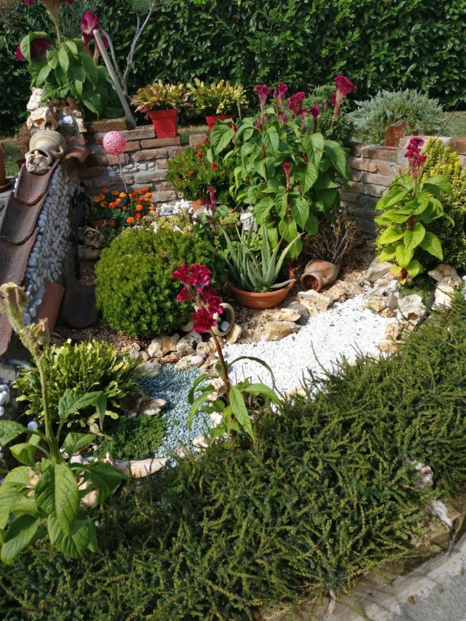 Caicai Bed And Breakfast Saluzzo Exteriör bild