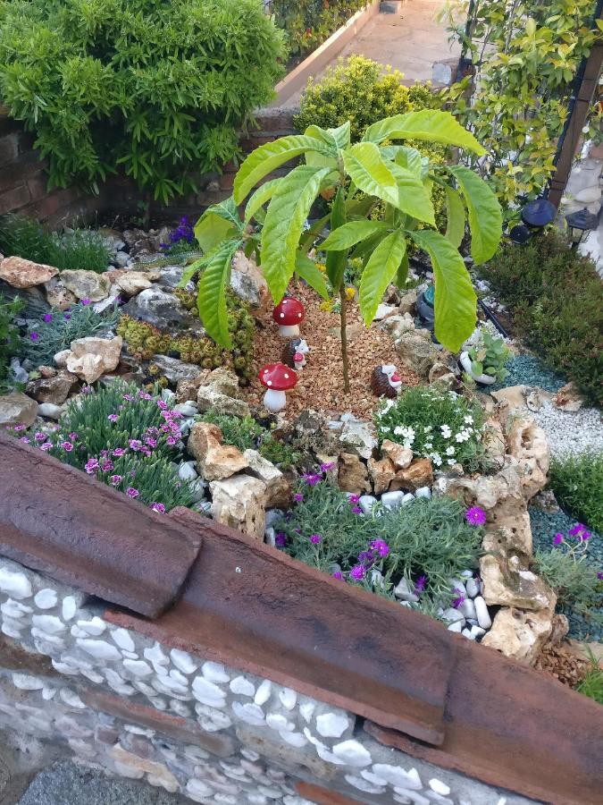 Caicai Bed And Breakfast Saluzzo Exteriör bild